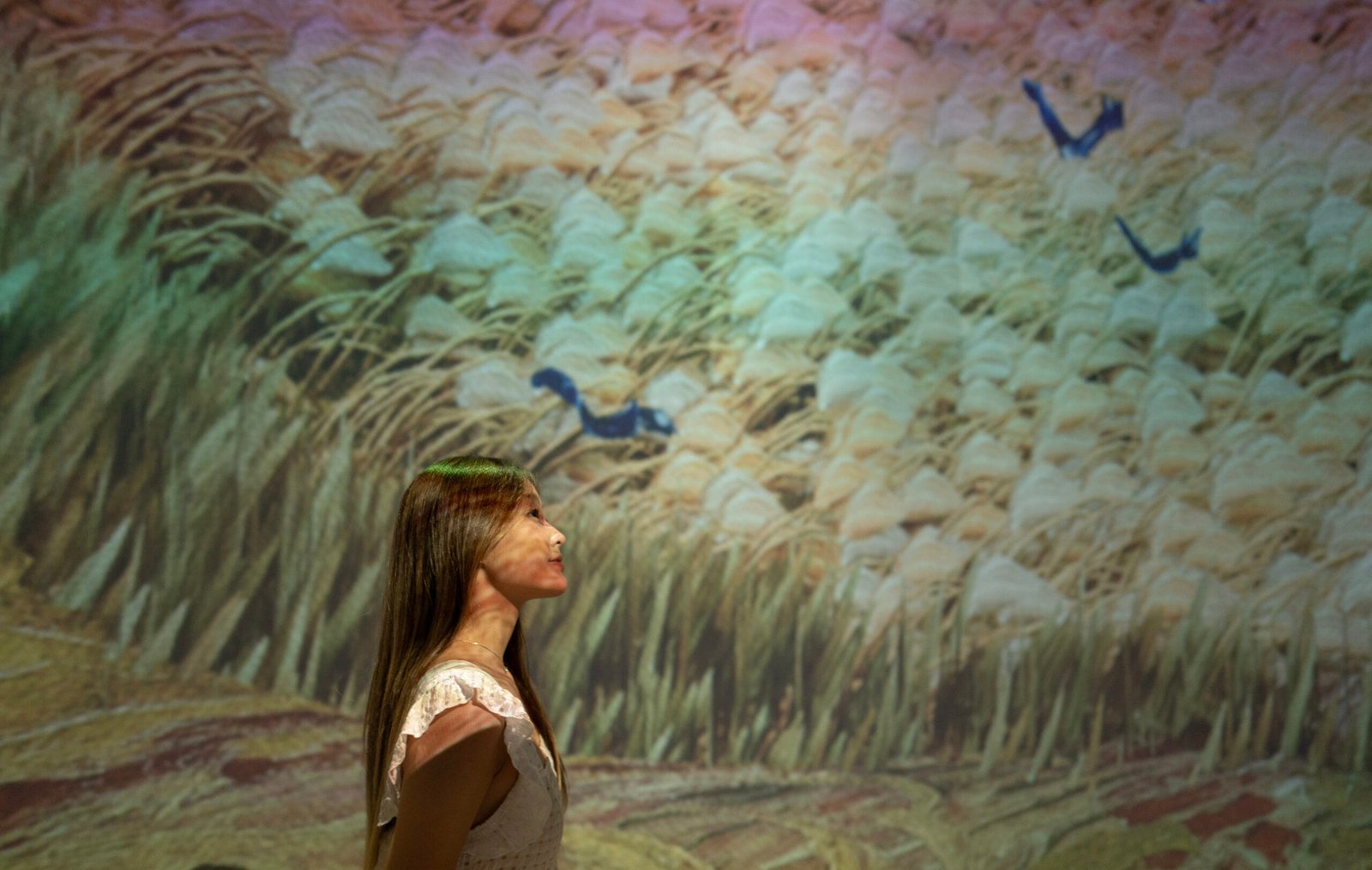 Soul Of Van Gogh by TOẢ EXHIBITION